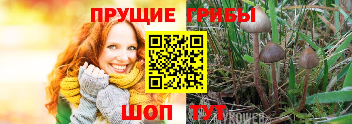 Галлюциногенные грибы MAGIC MUSHROOMS  Вход с VPN  Калач-на-Дону 
