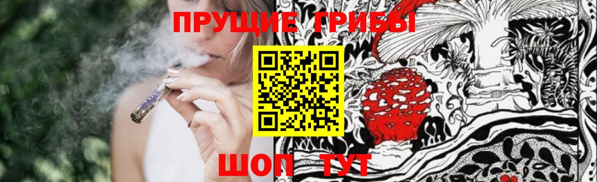 Псилоцибиновые грибы прущие грибы Калач-на-Дону